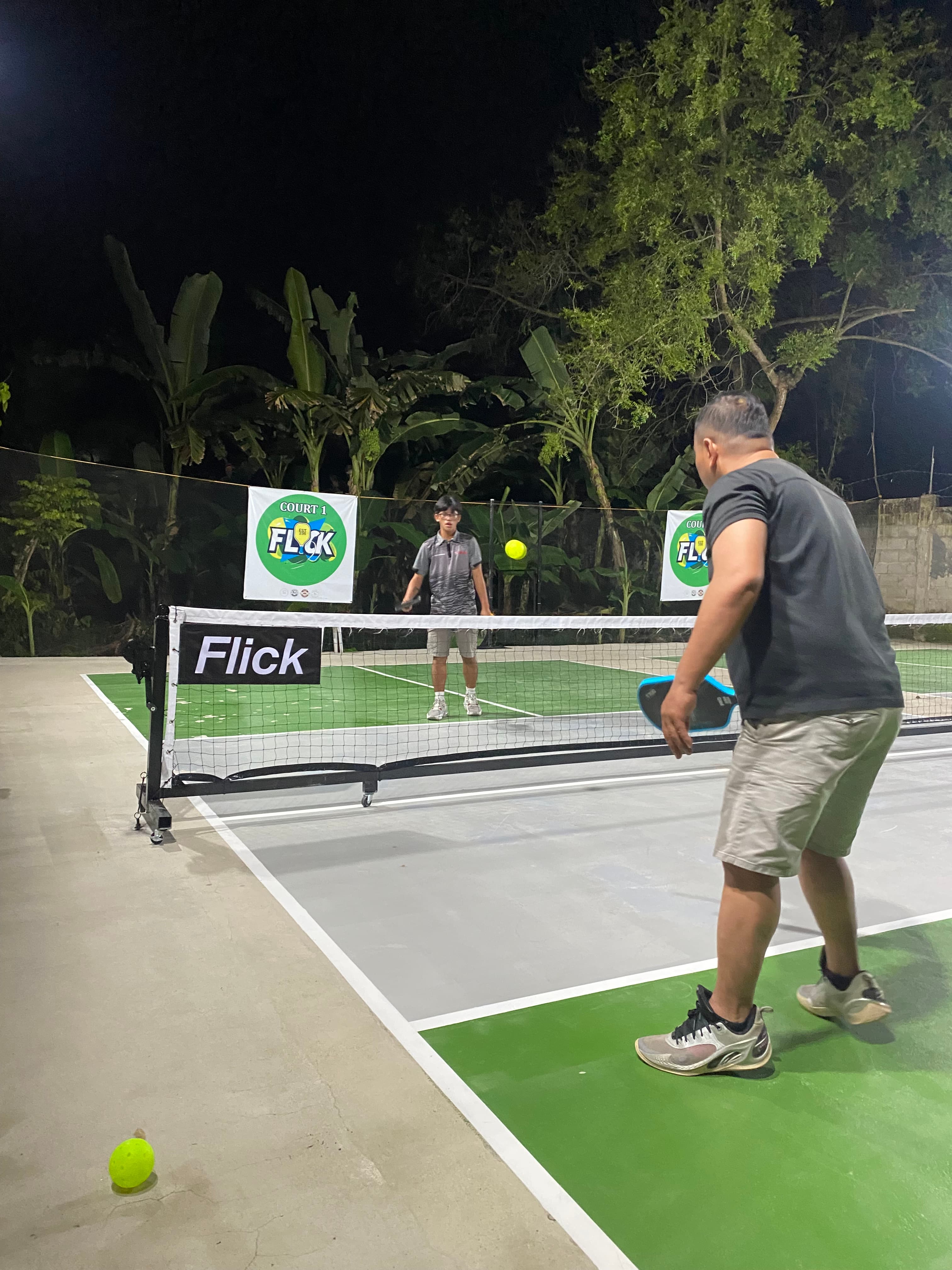 Flick Pickleball header
