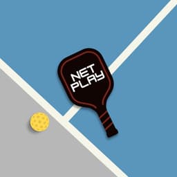 NetPlay Court logo