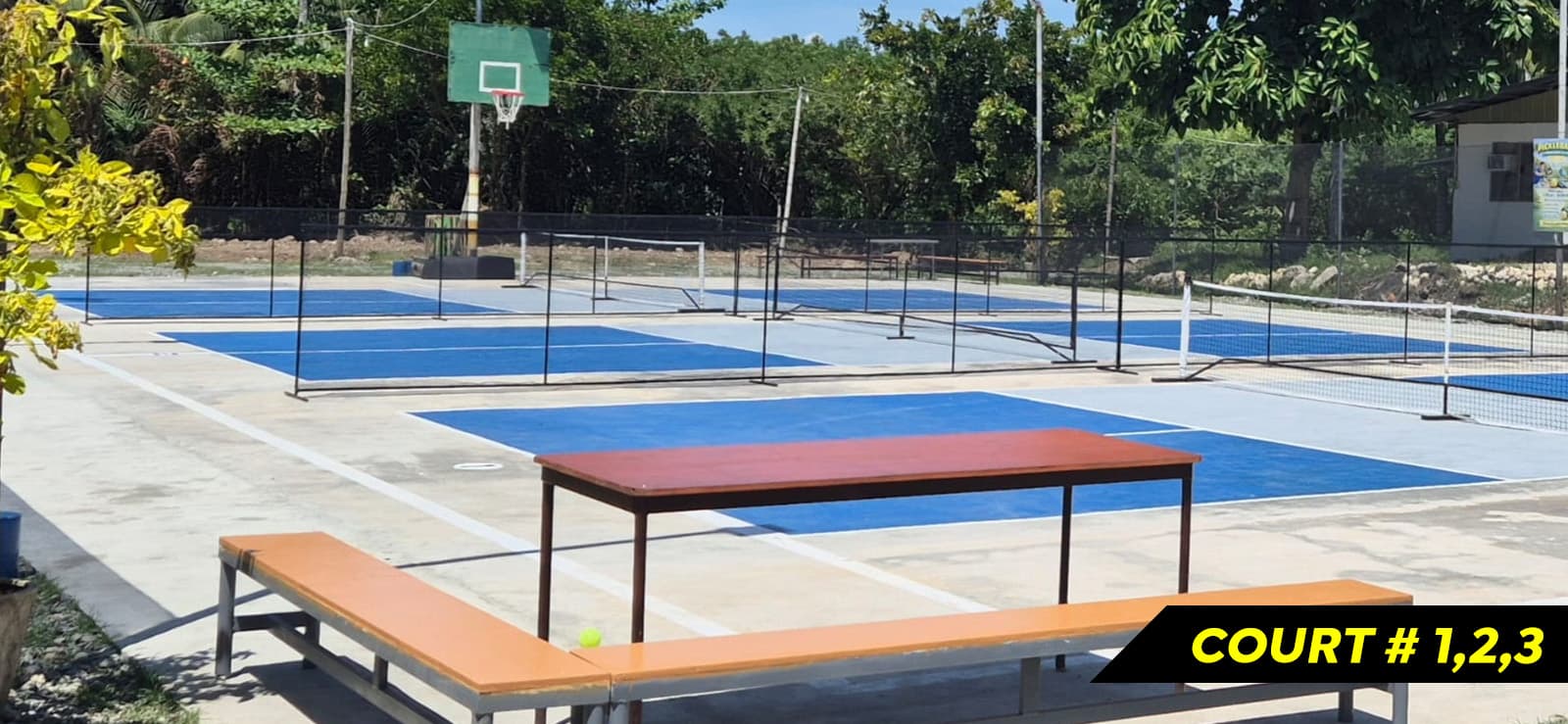 Pickleball @ Mangrove header